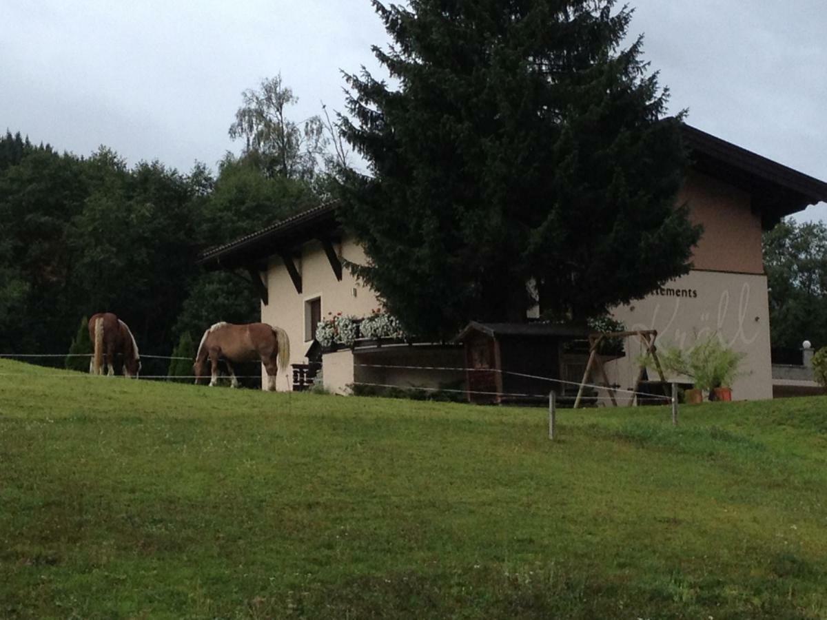 Appartements Kroell, Joker Card In Summer Included! Saalbach-Hinterglemm Exterior photo
